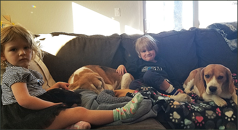 grandkids with beagles