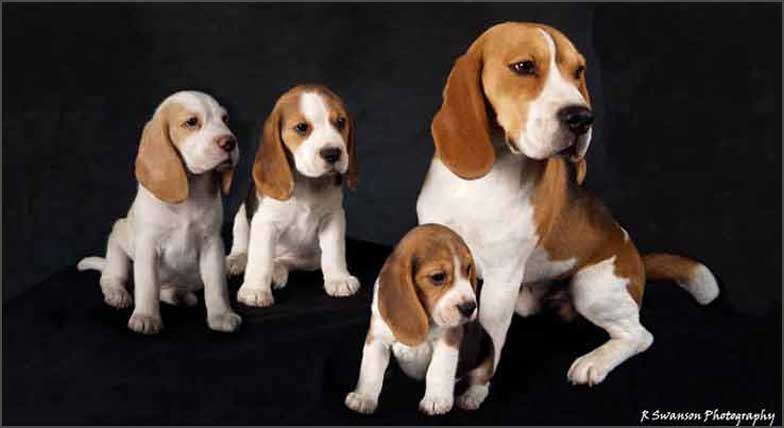 Cash & his kids