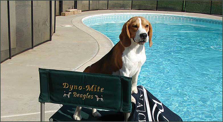 Cash by the pool