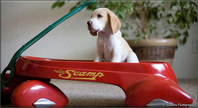 Cash son in red car