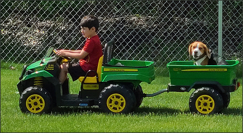 PlayerRiding in Cart