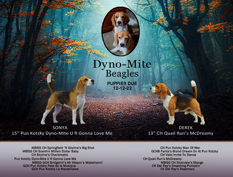 Sonya and Derek Puppy ad