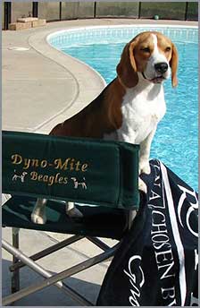 Cash by Pool