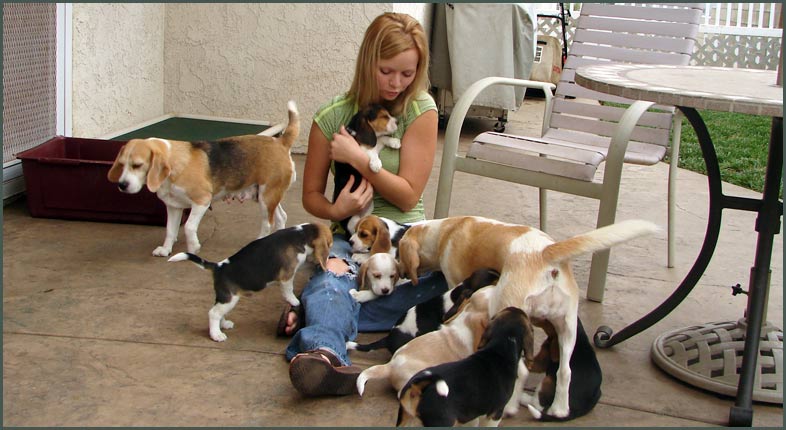 Mommas and Babies with a Friend